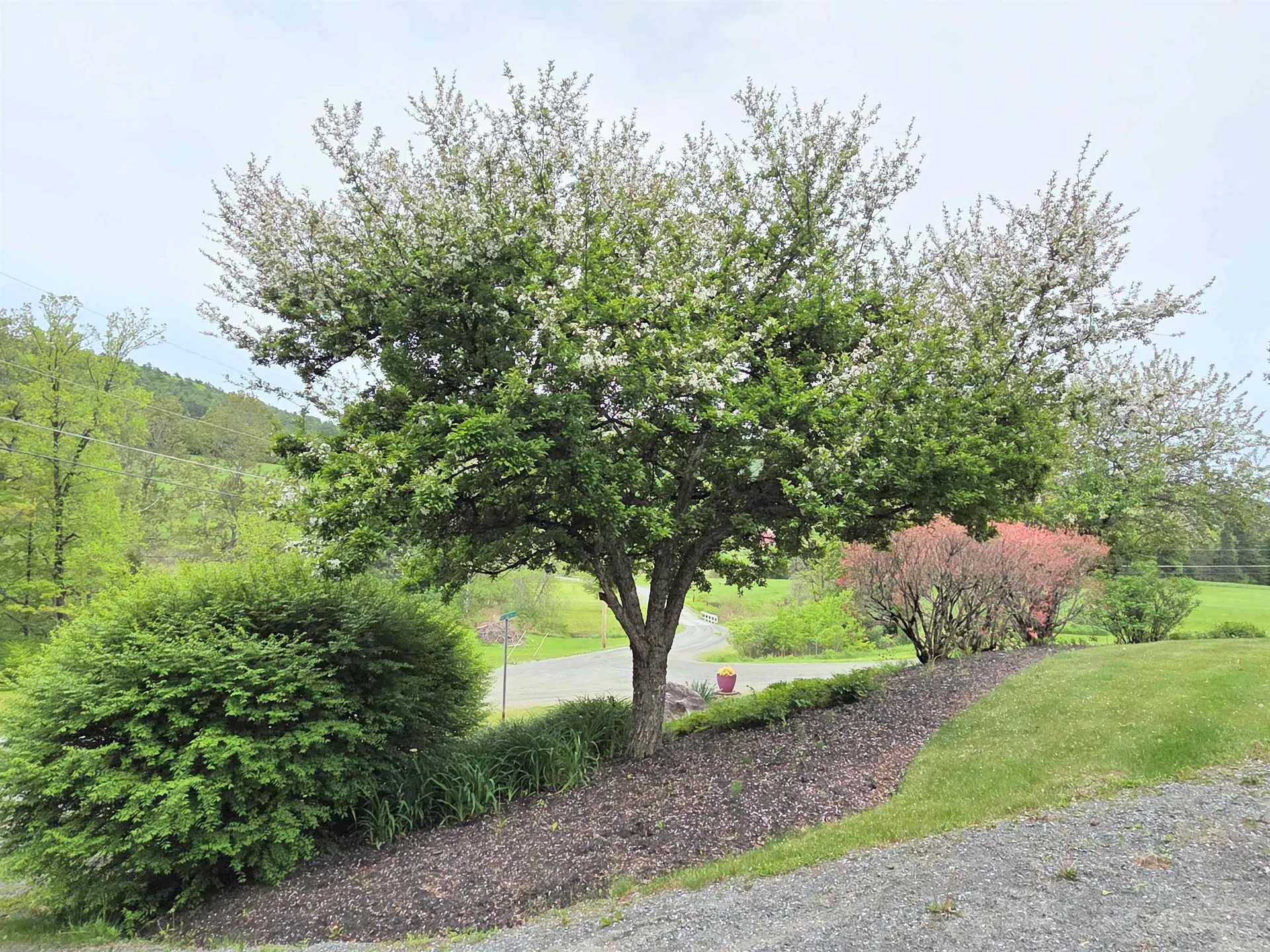 229 Meadowood Lane Waterford VT 05819