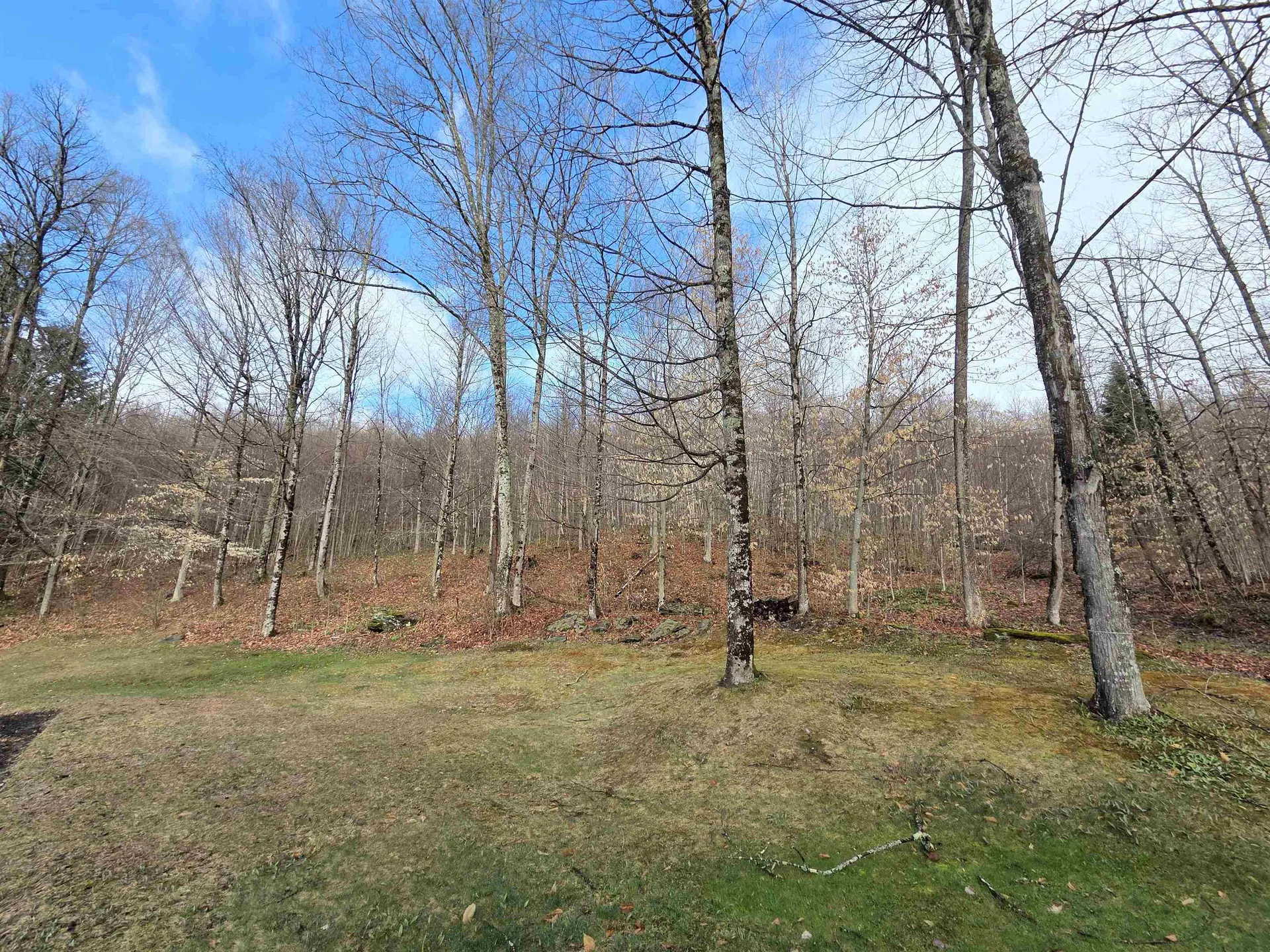229 Meadowood Lane Waterford VT 05819