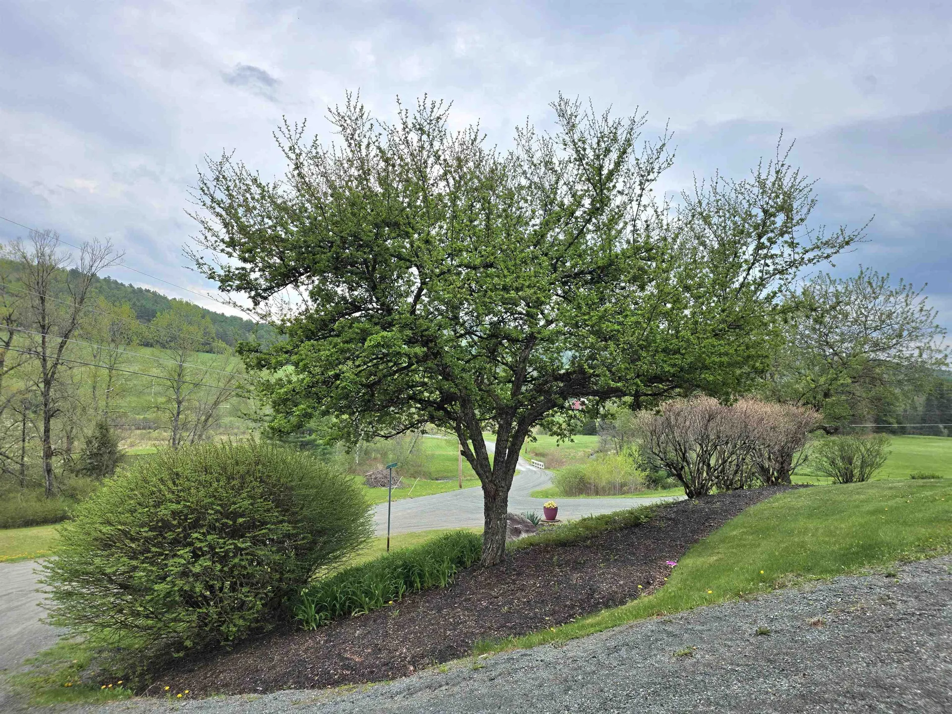 229 Meadowood Lane Waterford VT 05819