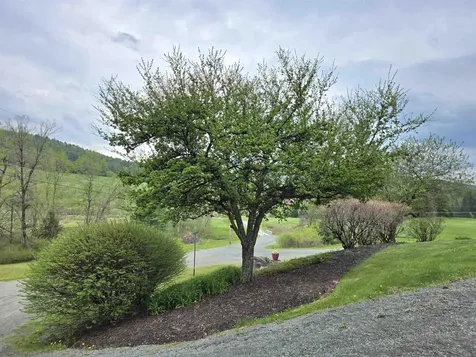 229 Meadowood Lane Waterford VT 05819