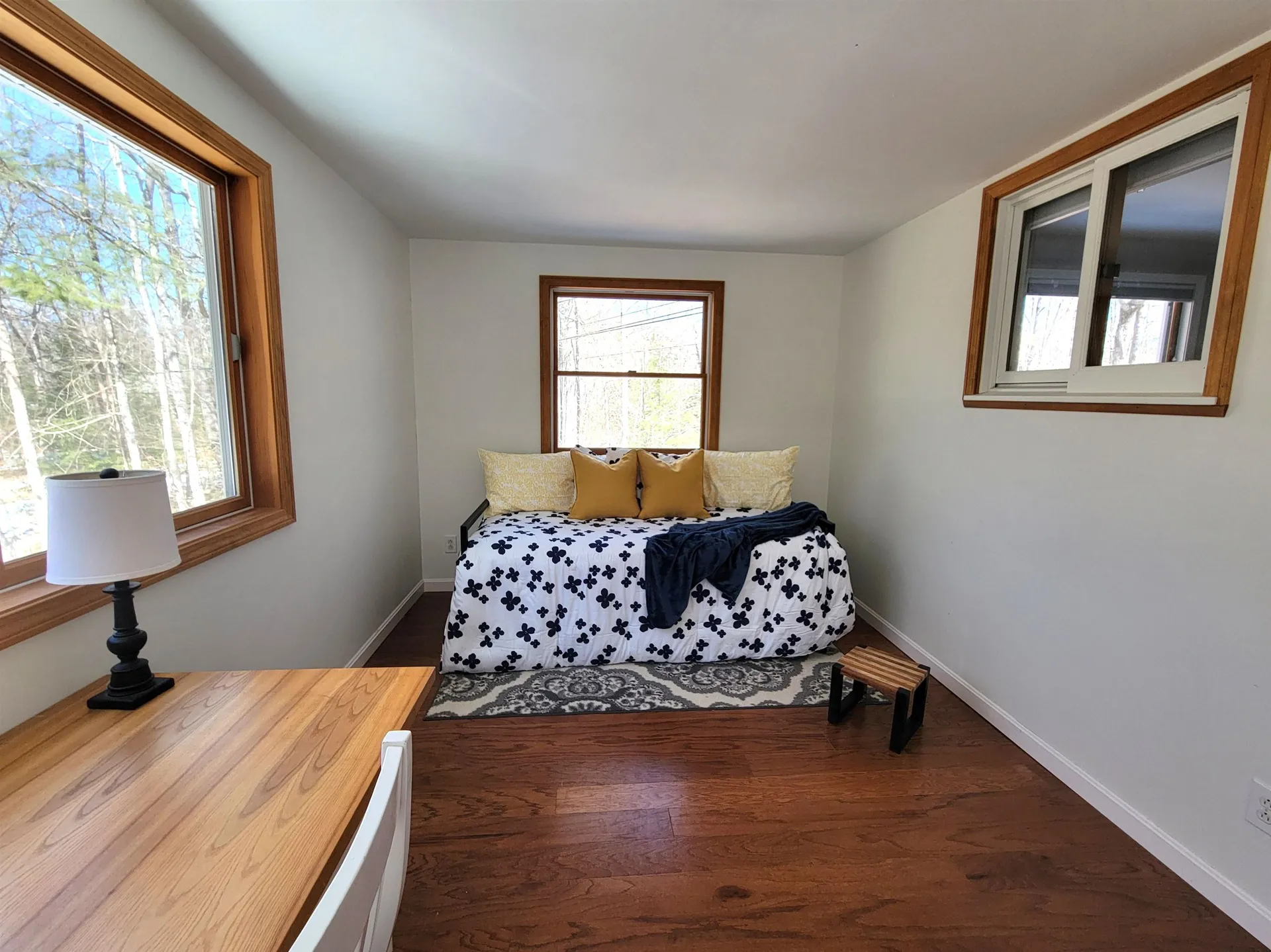 52 Geneve Street Moultonborough NH 03254