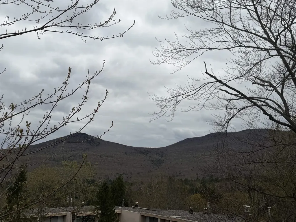 1275 Notchbrook Road Stowe VT 05672