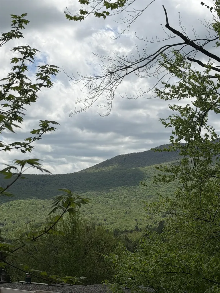 1275 Notchbrook Road Stowe VT 05672