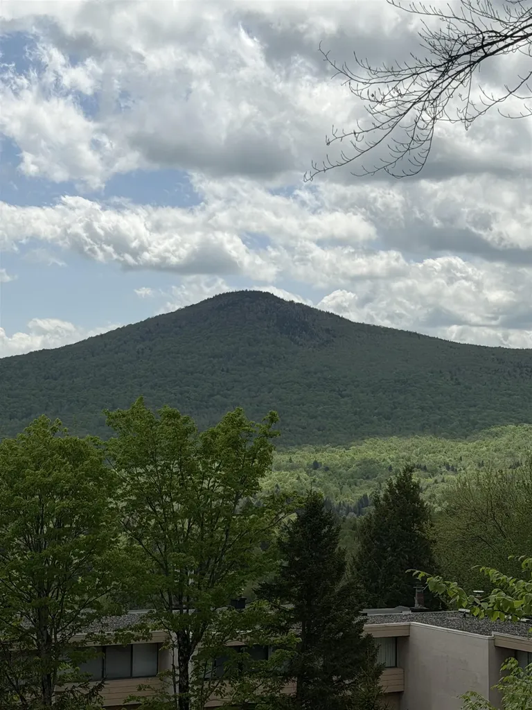 1275 Notchbrook Road Stowe VT 05672