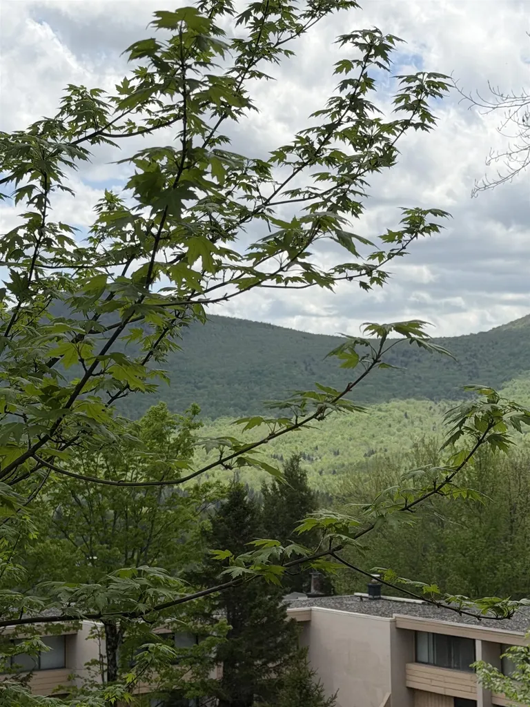 1275 Notchbrook Road Stowe VT 05672