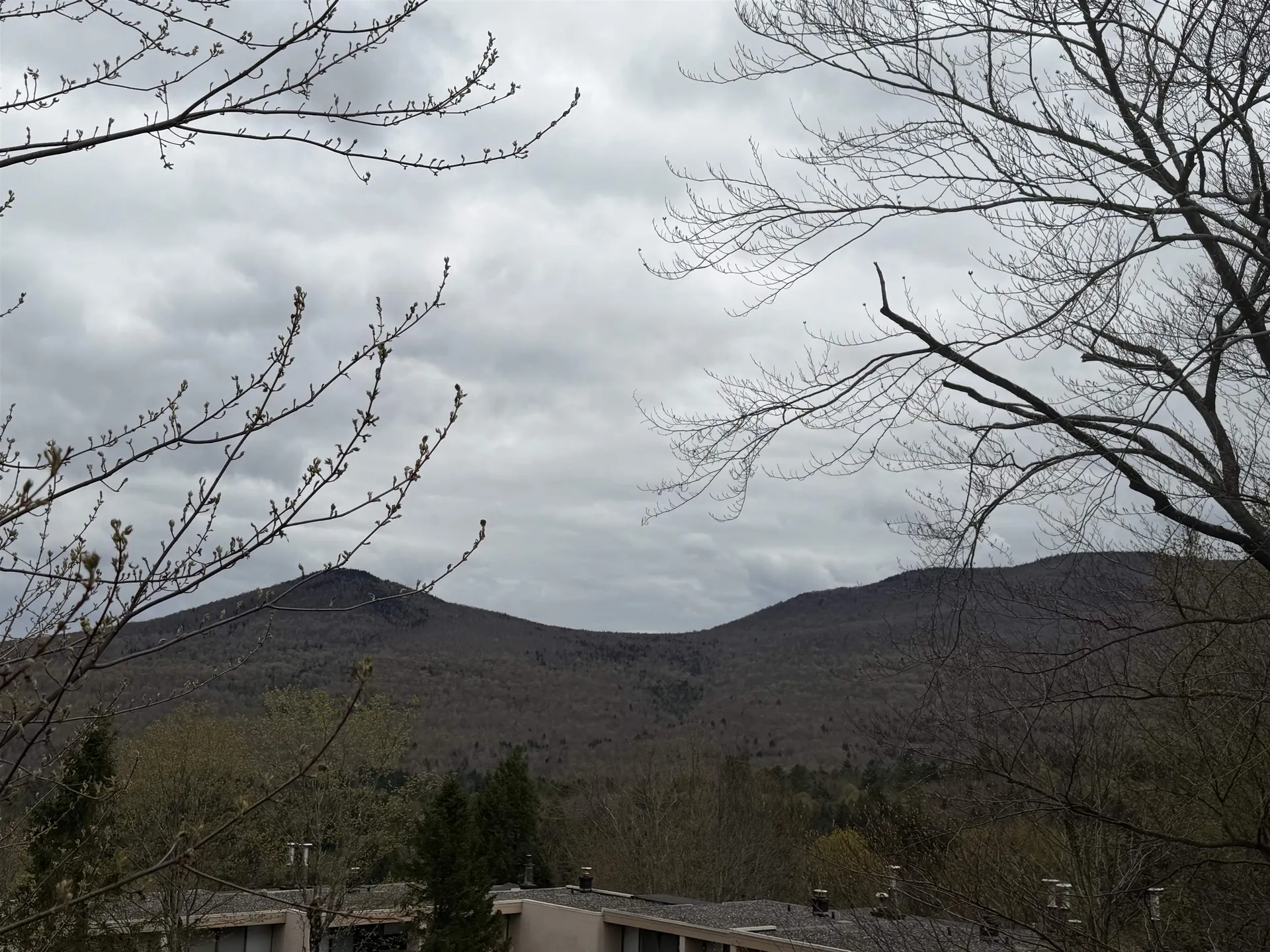 1275 Notchbrook Road Stowe VT 05672