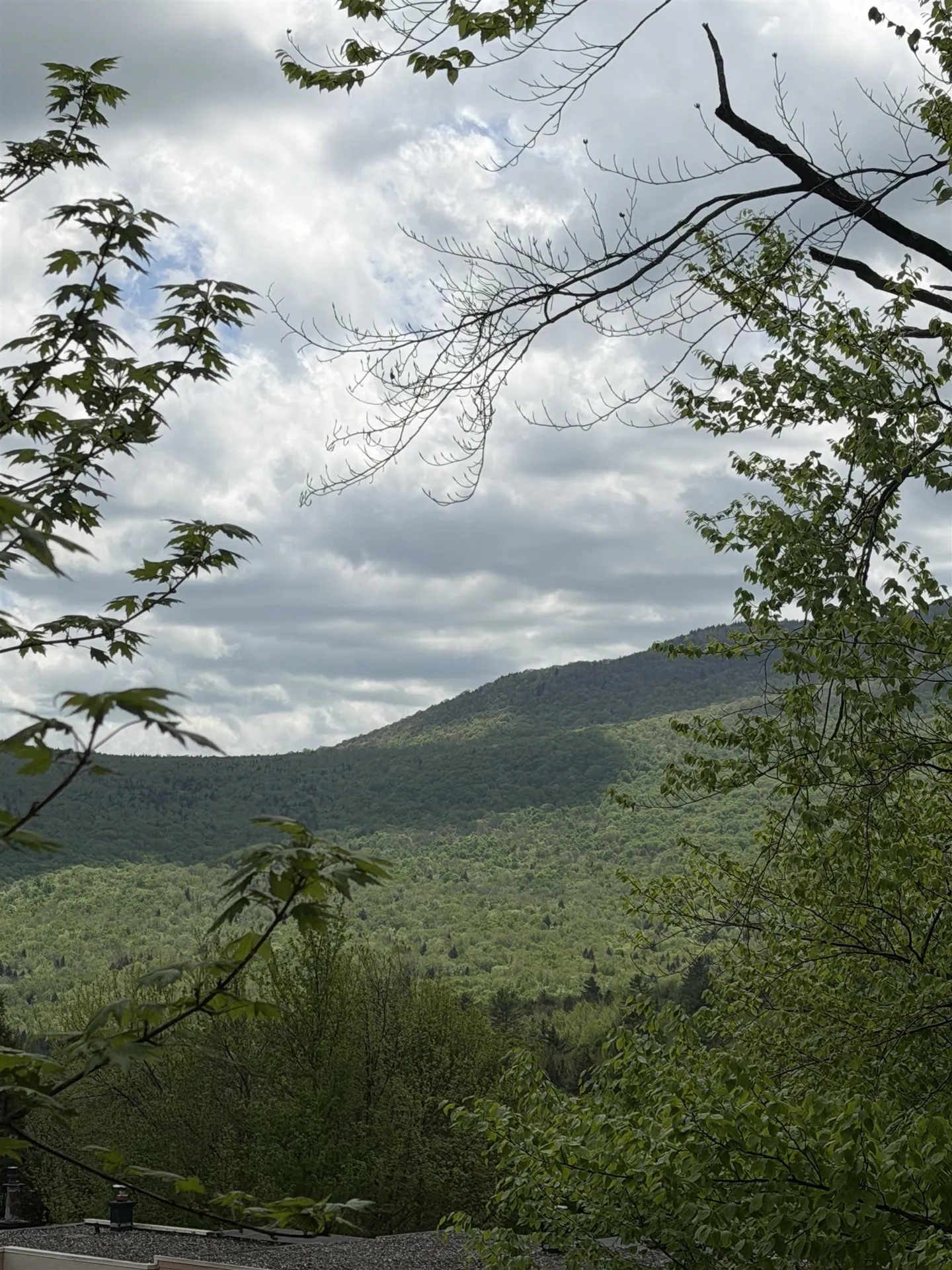 1275 Notchbrook Road Stowe VT 05672