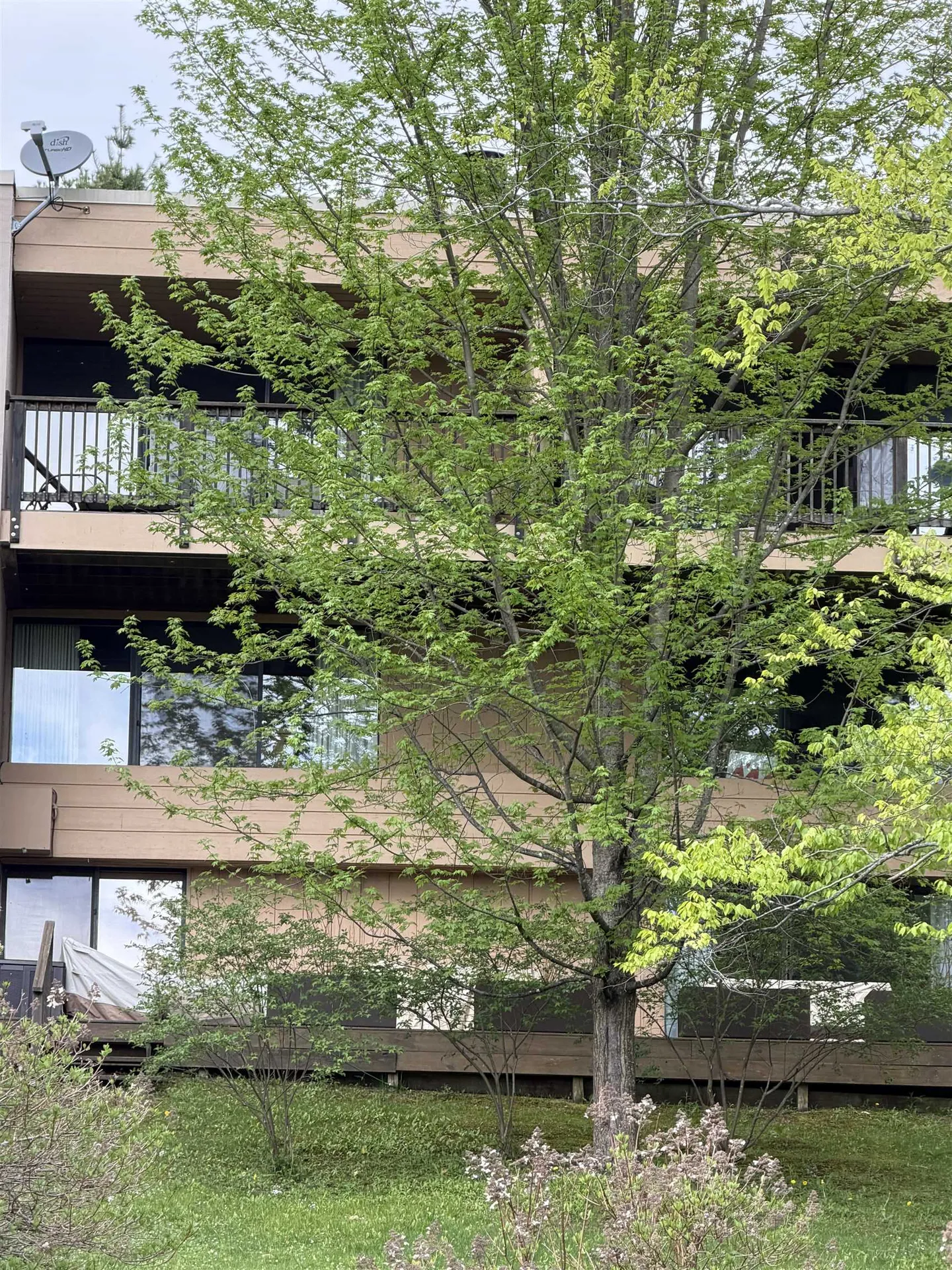 1275 Notchbrook Road Stowe VT 05672