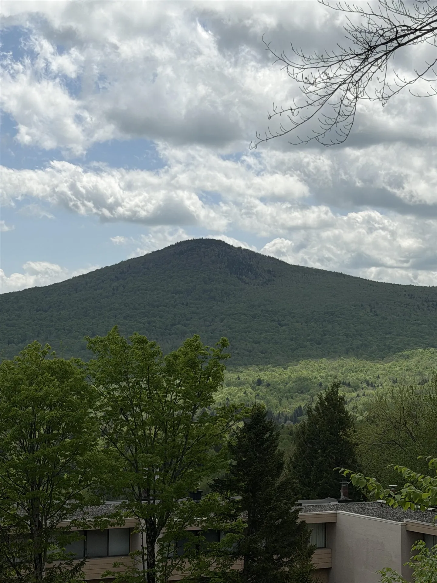 1275 Notchbrook Road Stowe VT 05672