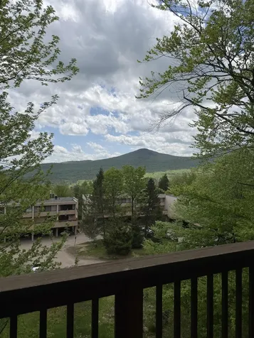 1275 Notchbrook Road Stowe VT 05672