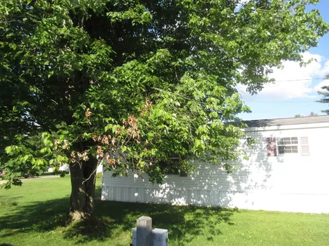 2477 Us Route 5 C-11 Derby VT 05829