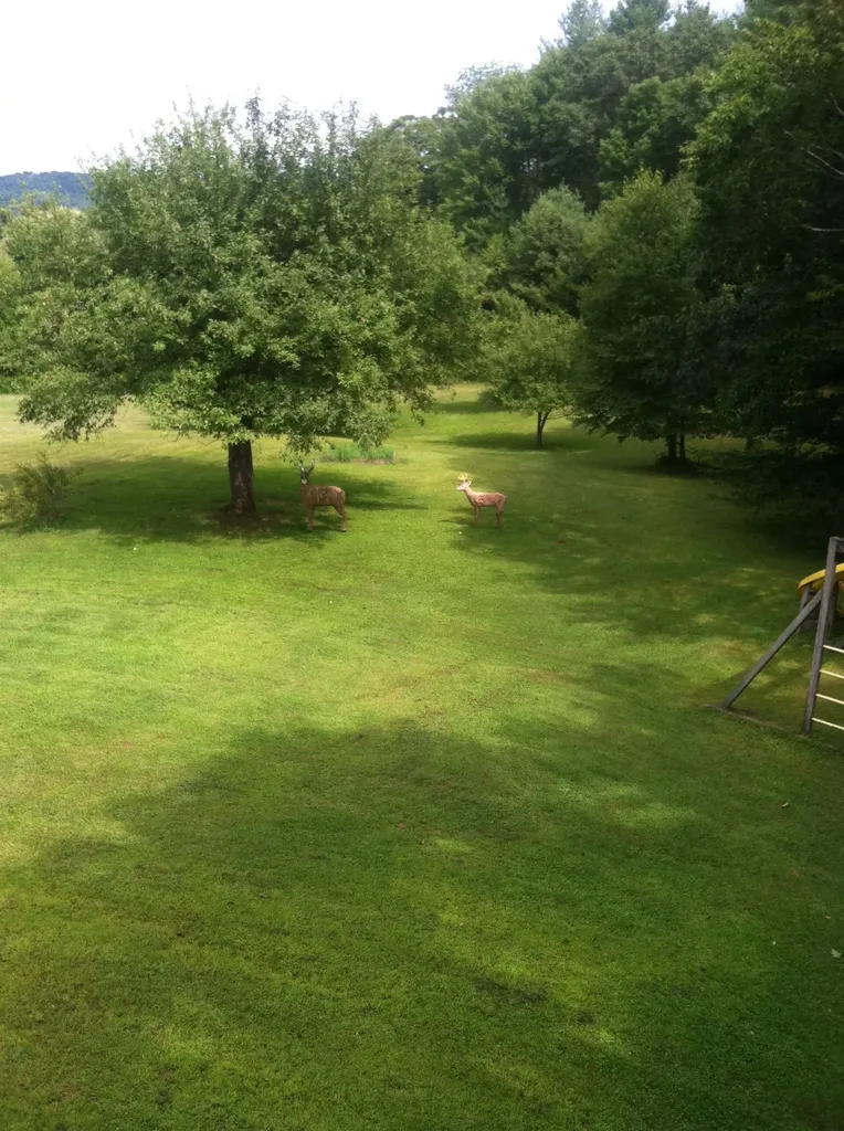 147 Pleasant View Lane Chester VT 05143
