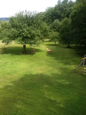147 Pleasant View Lane Chester VT 05143