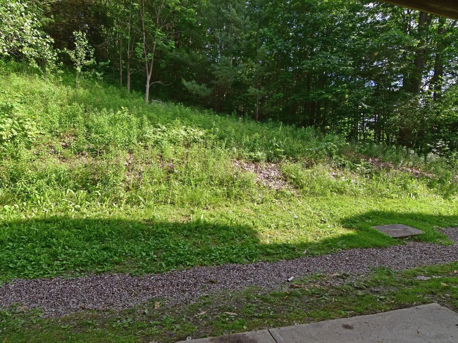 243 Hildred Drive Burlington VT 05401
