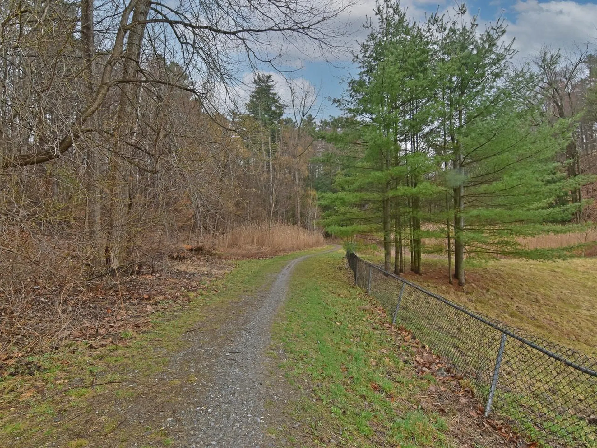 243 Hildred Drive Burlington VT 05401