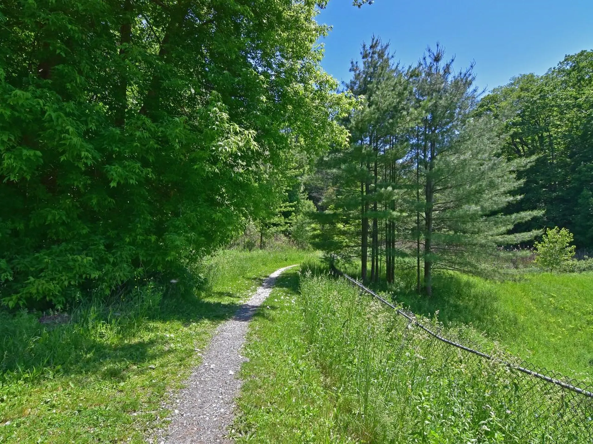 243 Hildred Drive Burlington VT 05401