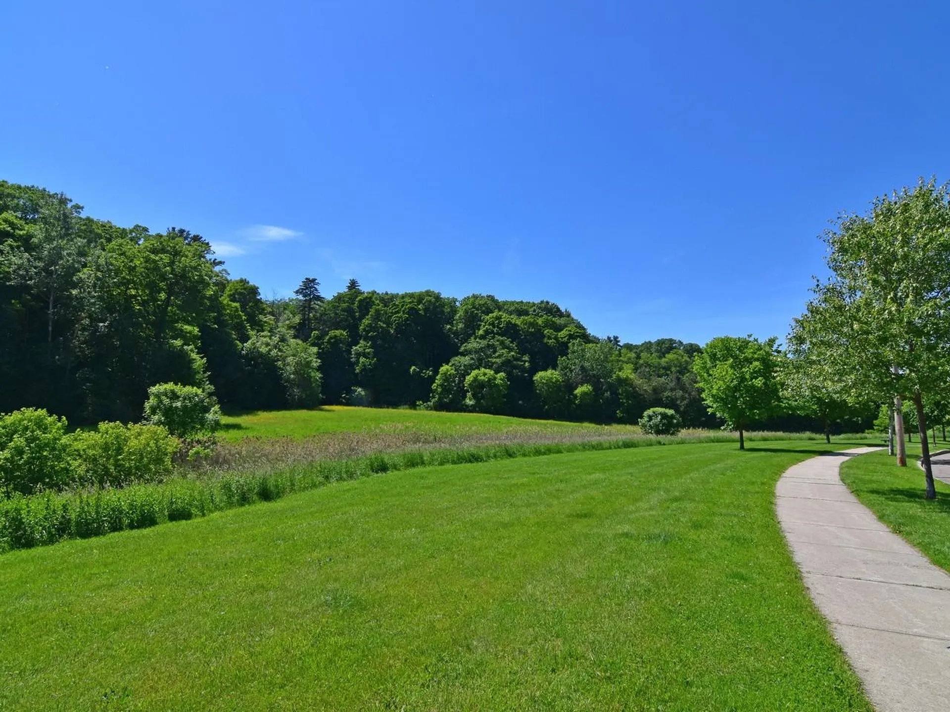 243 Hildred Drive Burlington VT 05401