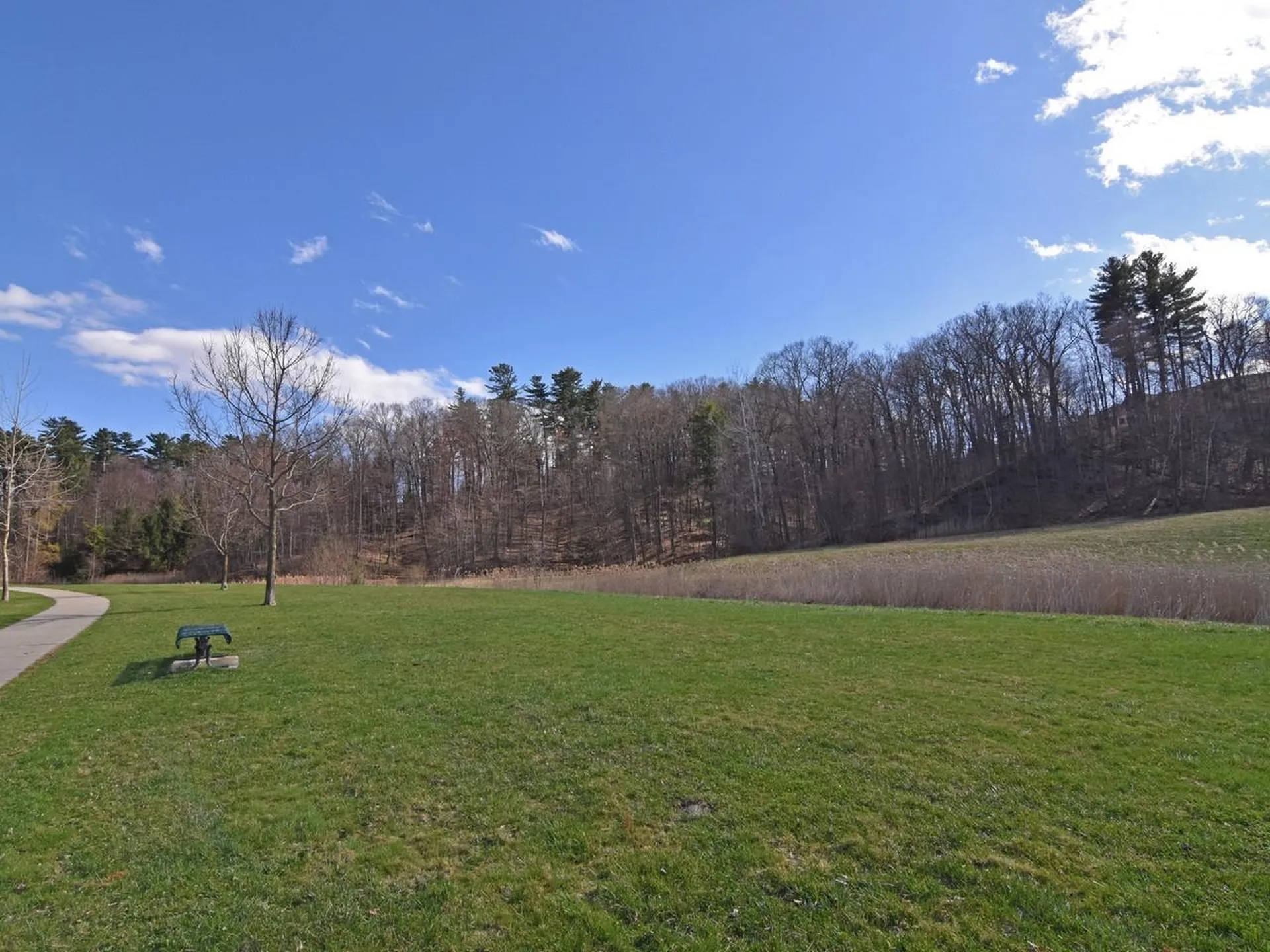 243 Hildred Drive Burlington VT 05401
