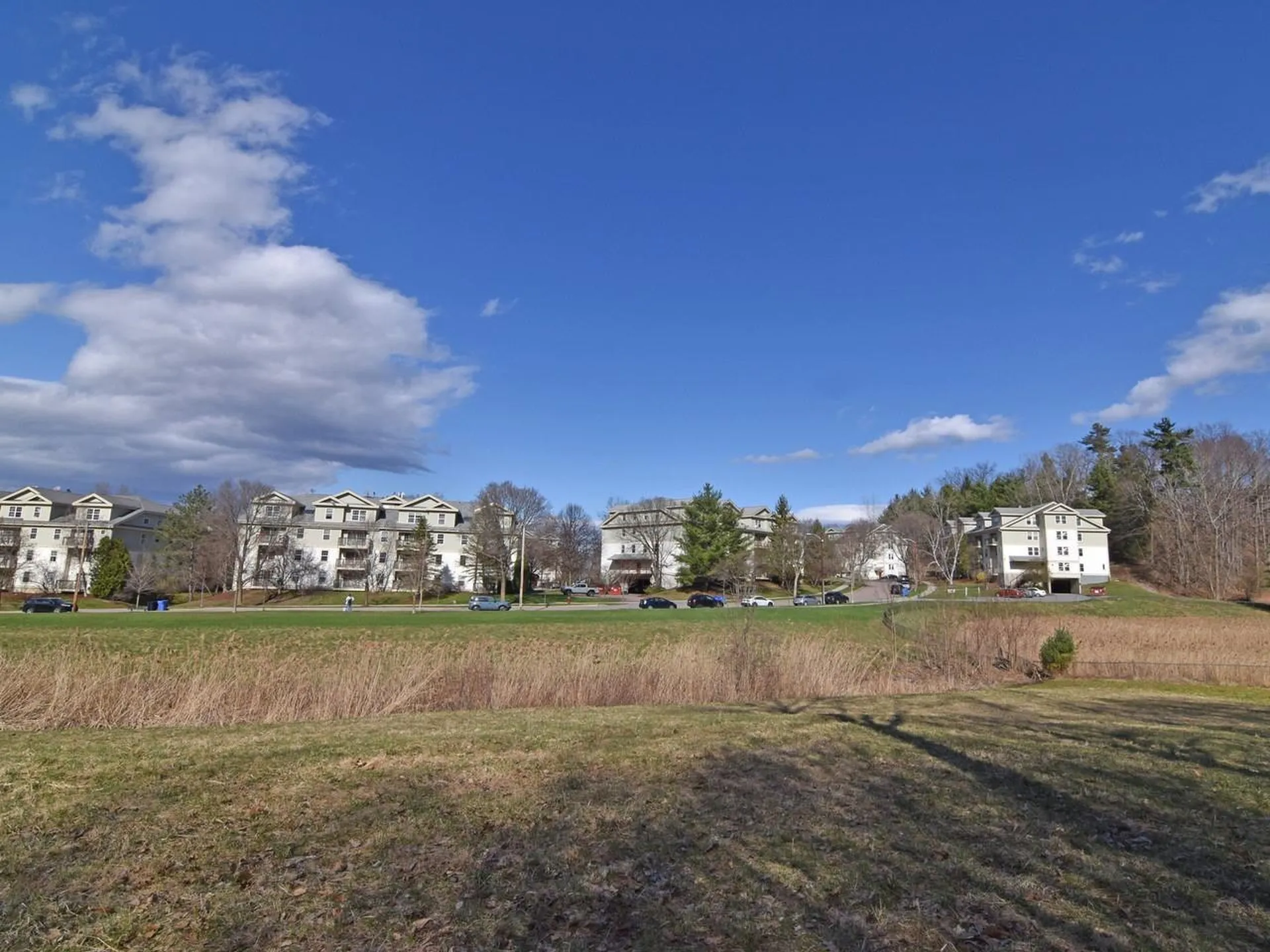 243 Hildred Drive Burlington VT 05401