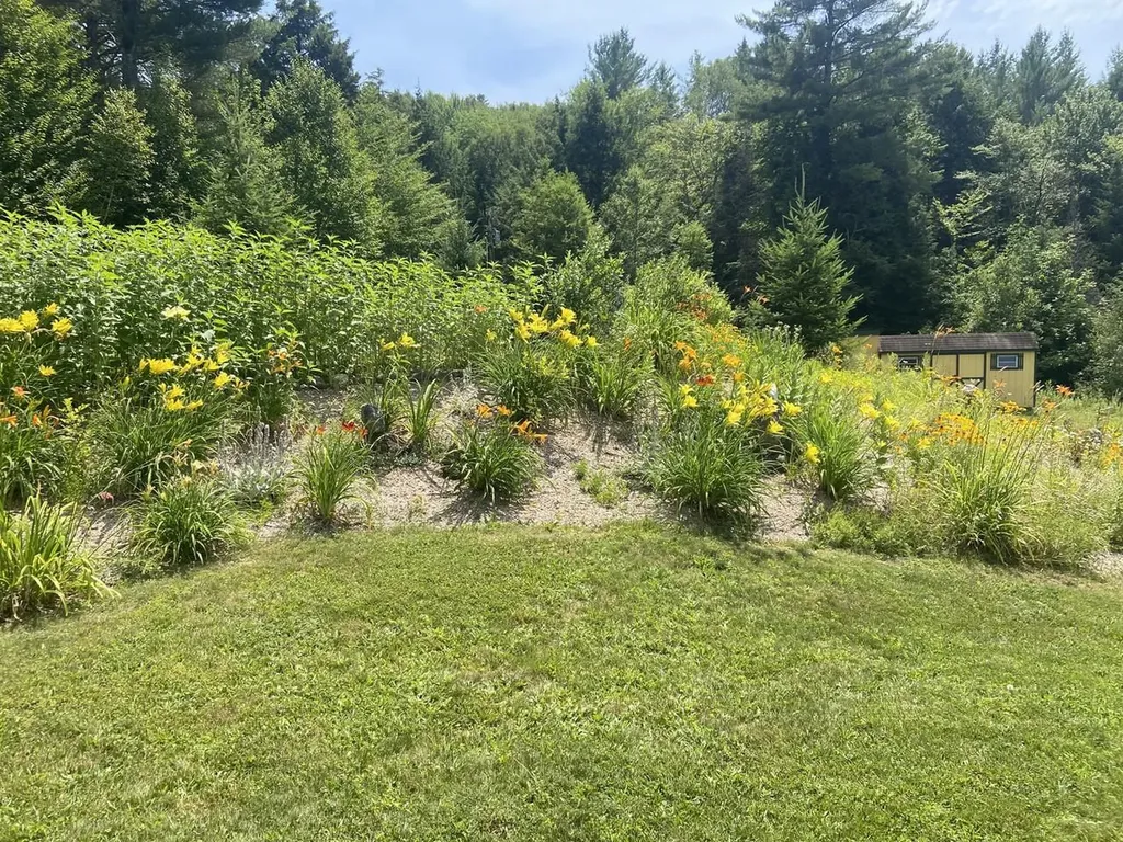 159 Tracy Hill Road Roxbury VT 05669