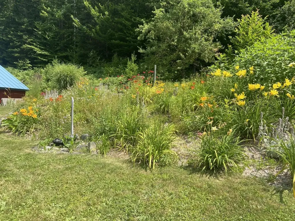159 Tracy Hill Road Roxbury VT 05669
