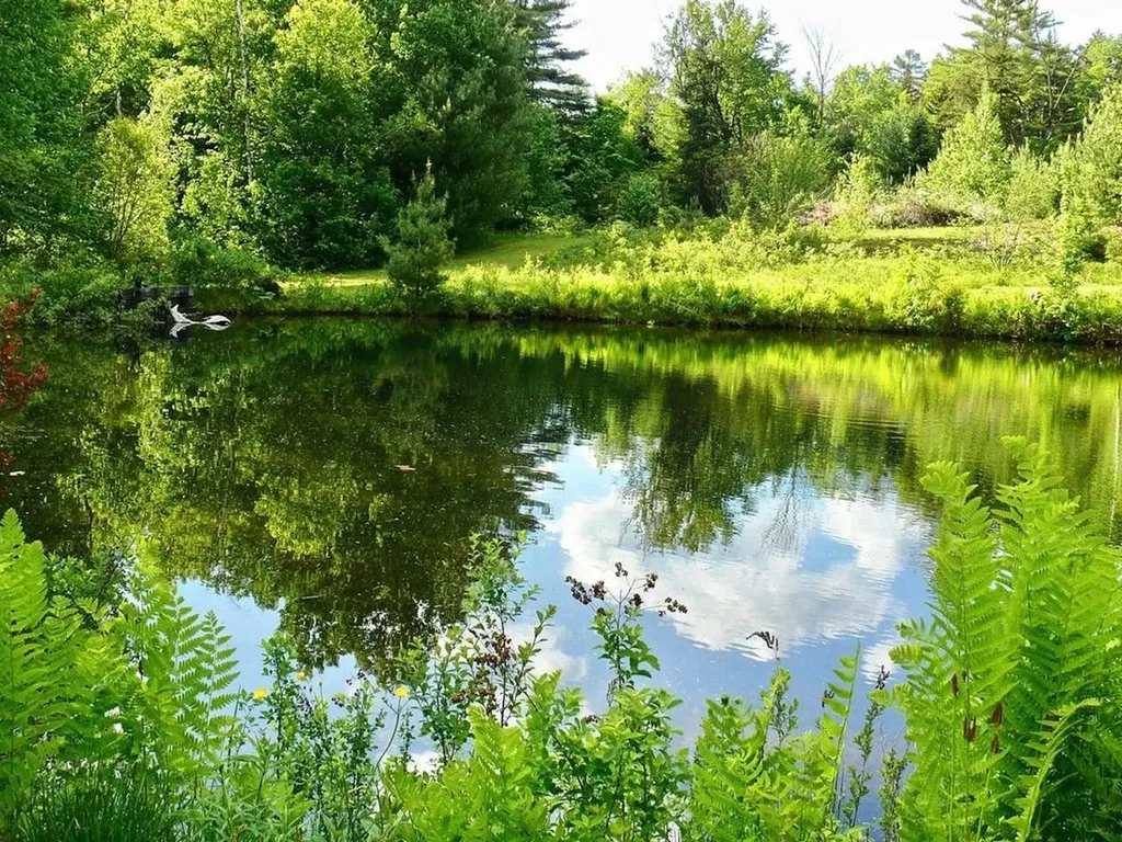 159 Tracy Hill Road Roxbury VT 05669