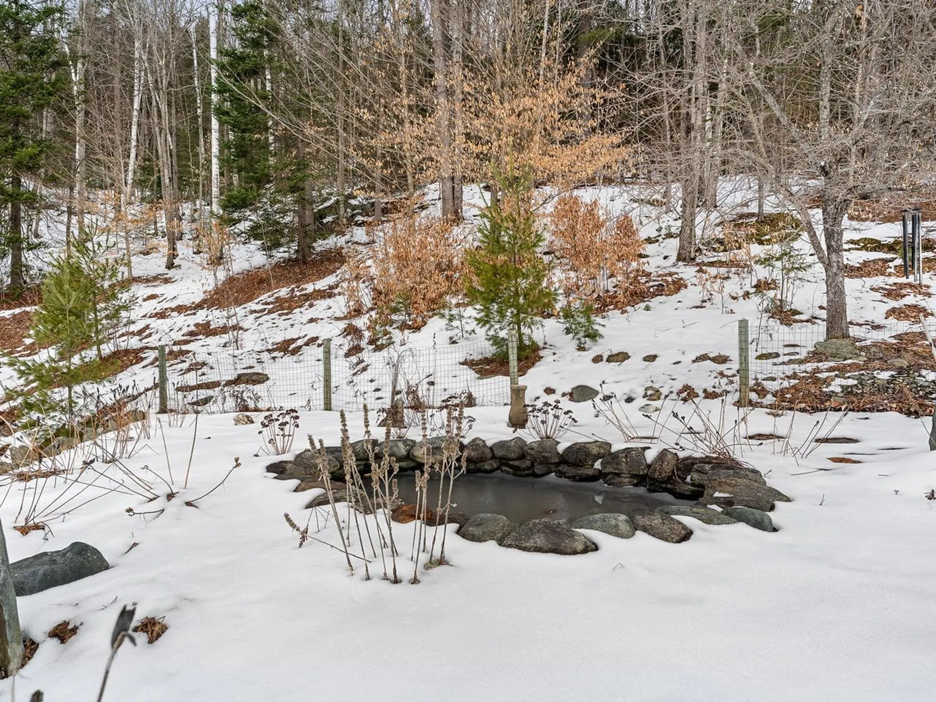159 Tracy Hill Road Roxbury VT 05669