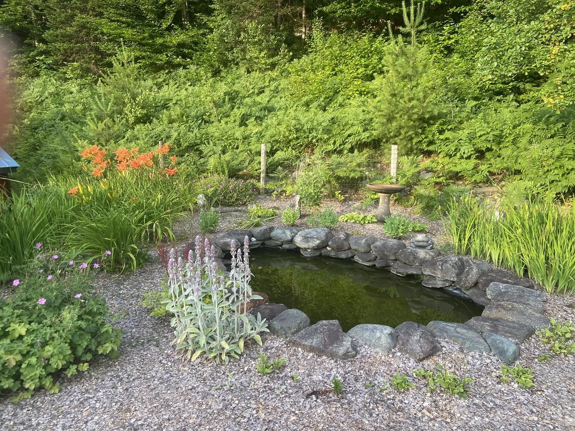 159 Tracy Hill Road Roxbury VT 05669