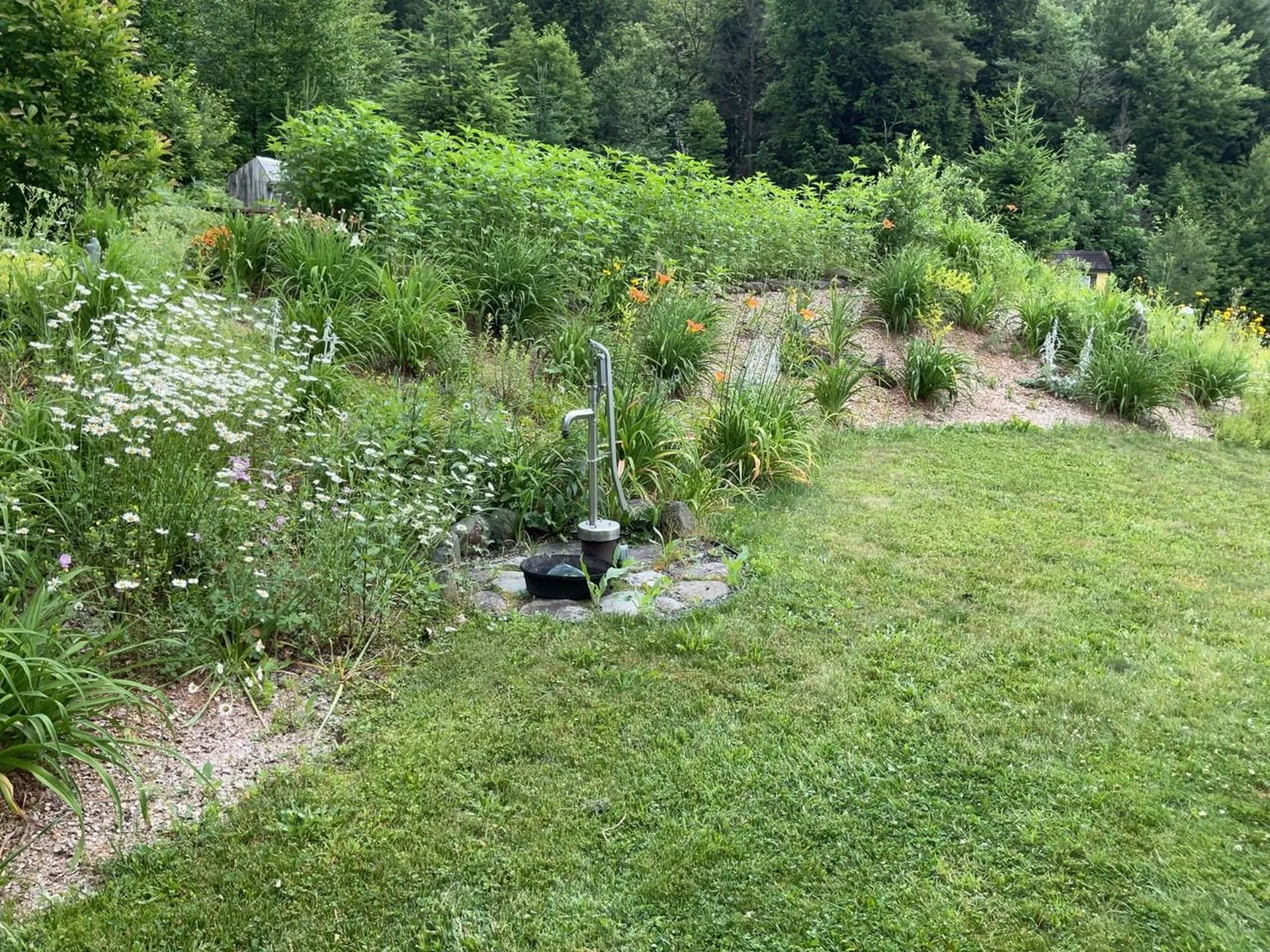159 Tracy Hill Road Roxbury VT 05669