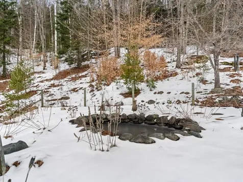 159 Tracy Hill Road Roxbury VT 05669