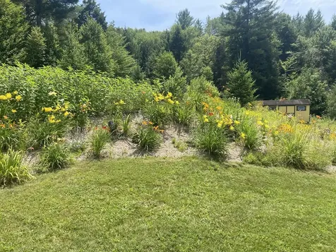 159 Tracy Hill Road Roxbury VT 05669