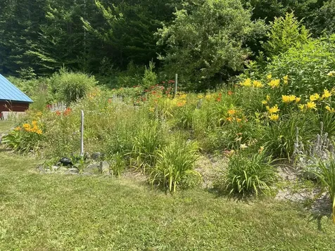 159 Tracy Hill Road Roxbury VT 05669