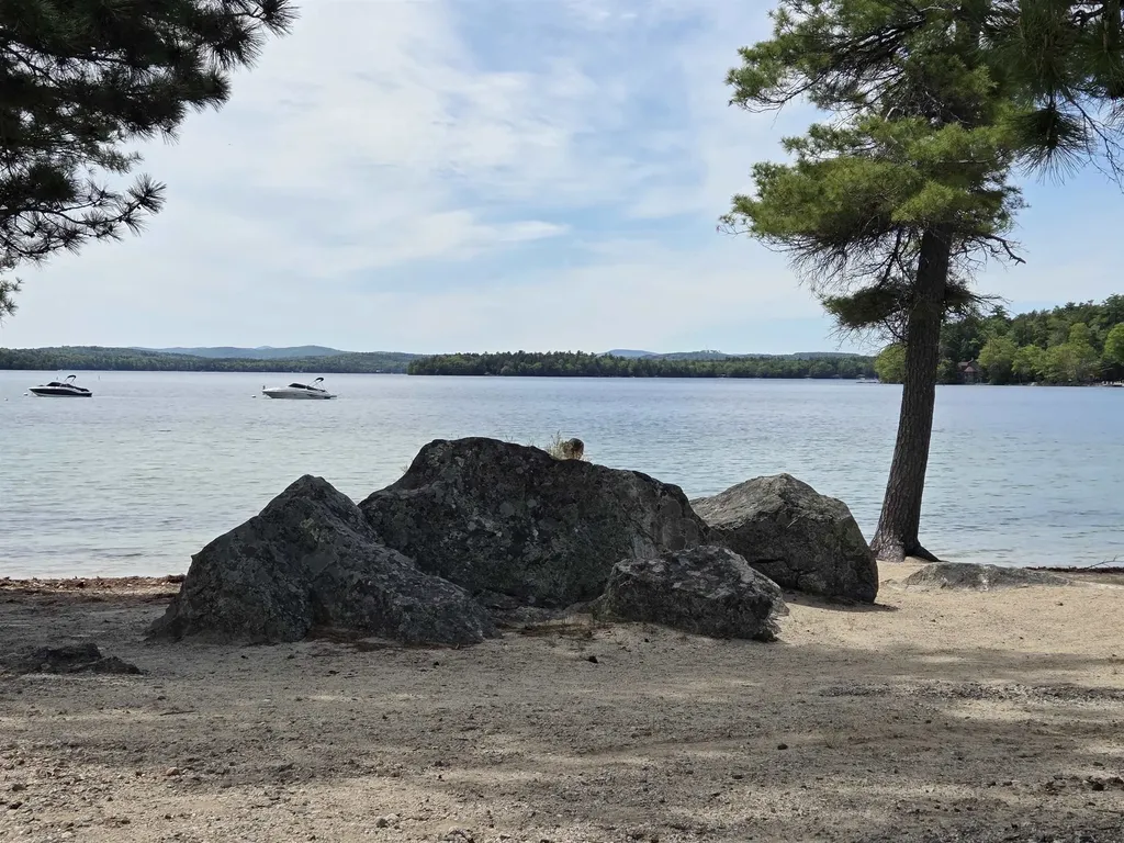 42 High Ridge Road Moultonborough NH 03254