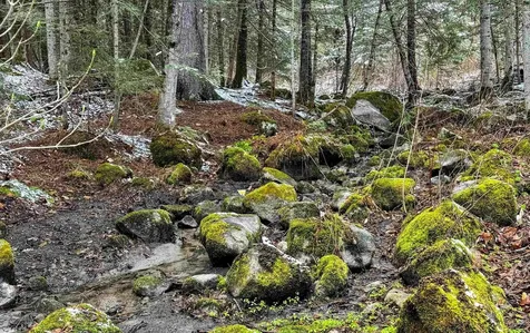 36 Windsor Lane Groton VT 05046