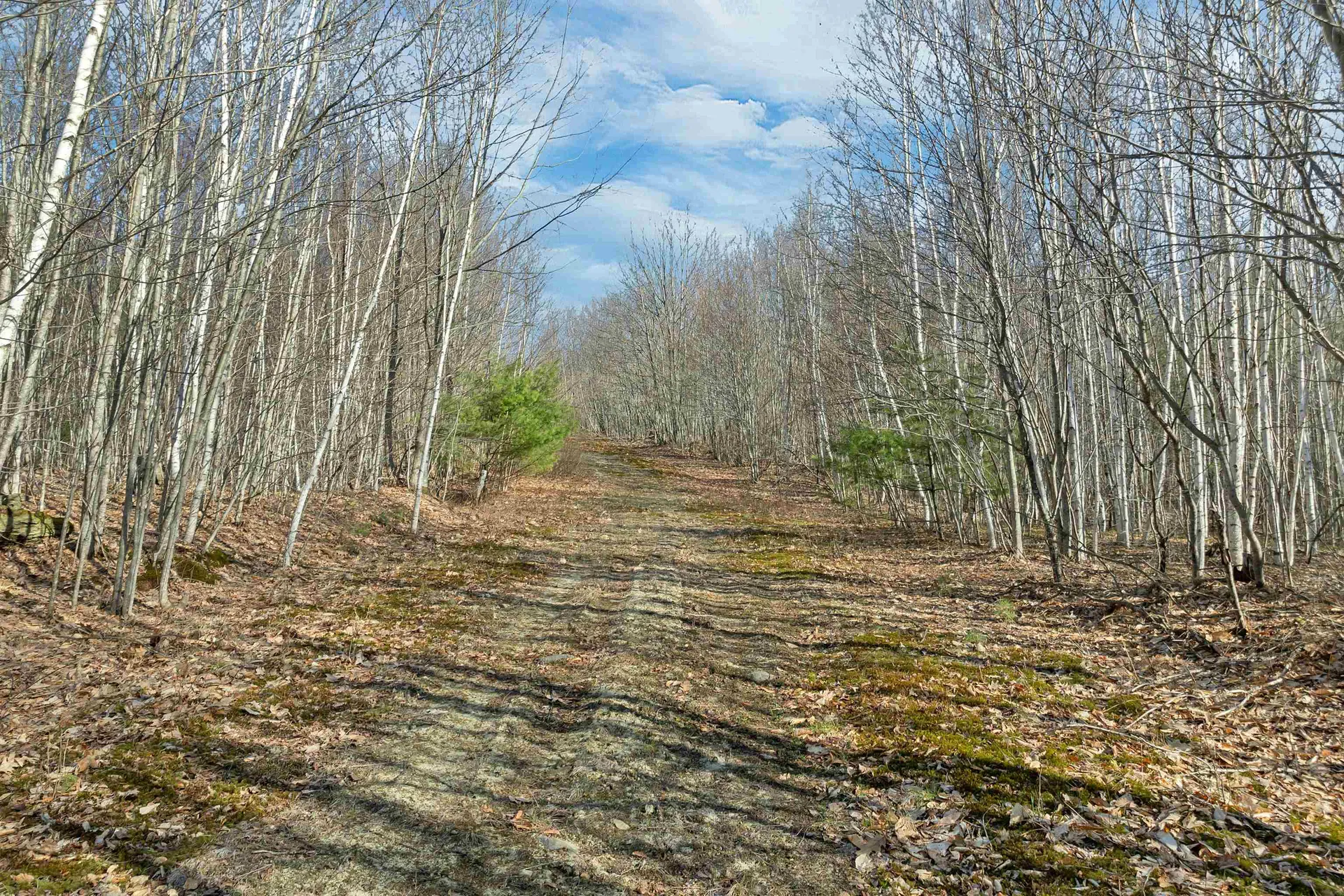Lot 41 Oakcrest Road Bristol NH 03222