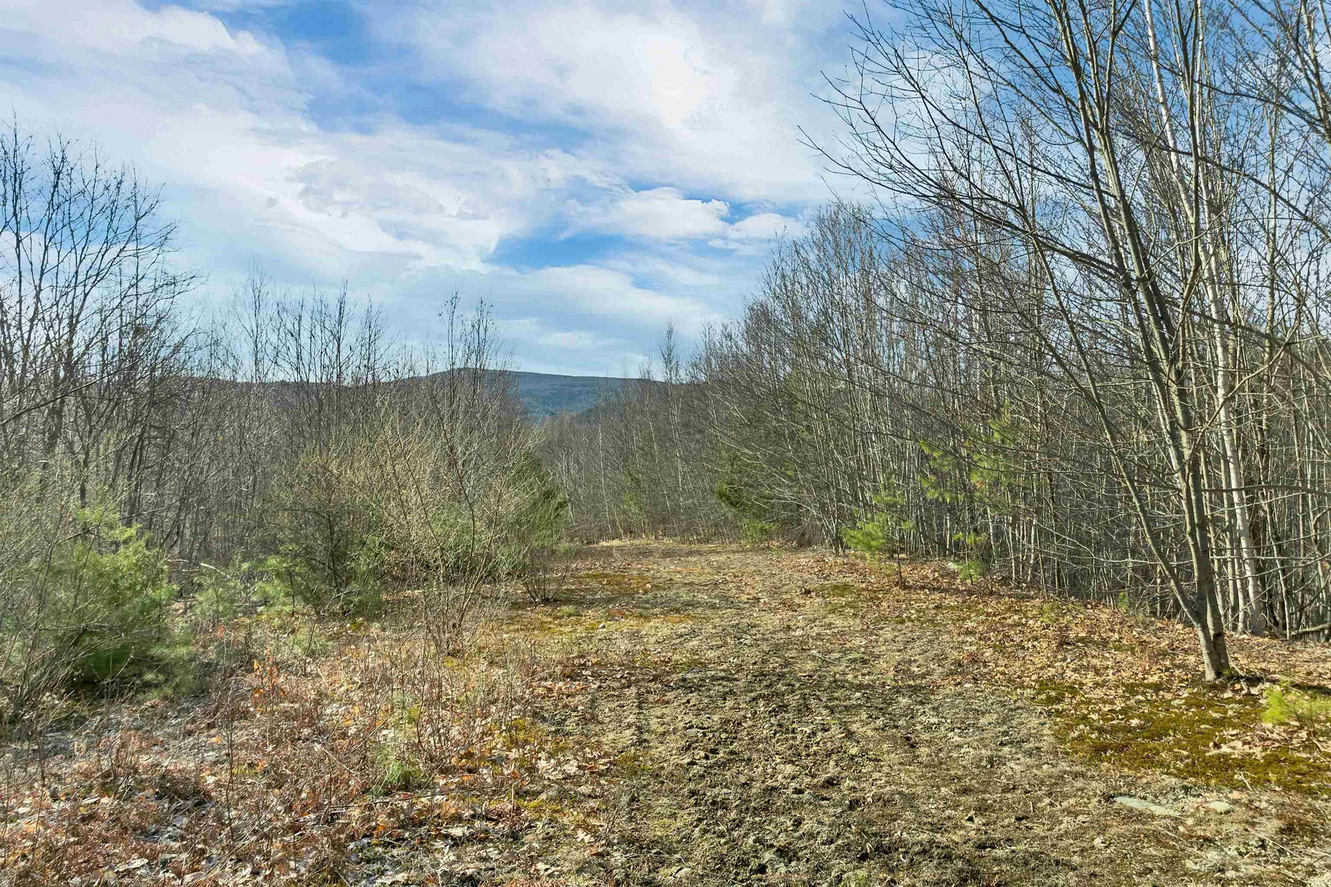 Lot 41 Oakcrest Road Bristol NH 03222