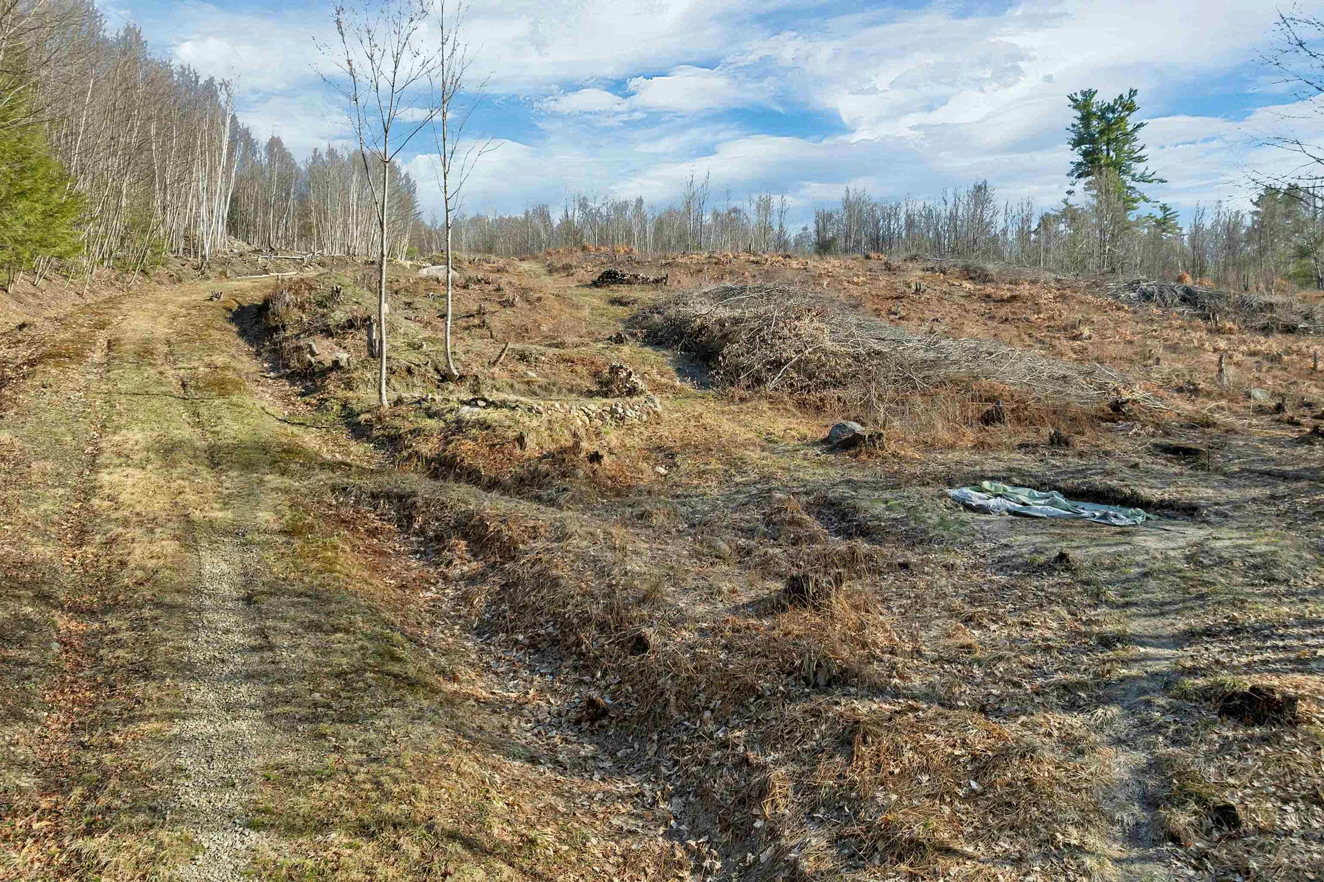 Lot 41 Oakcrest Road Bristol NH 03222