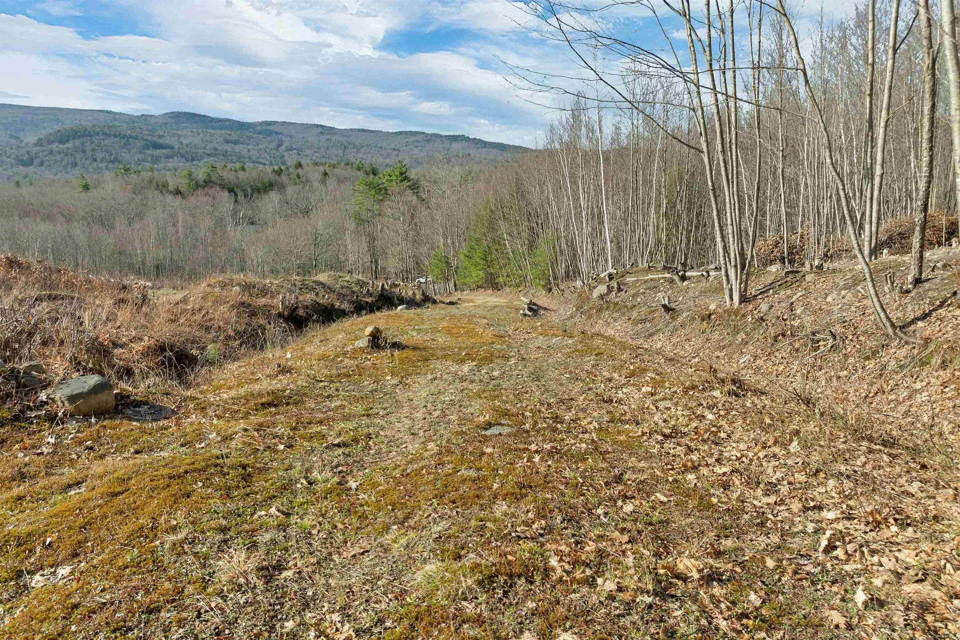 Lot 41 Oakcrest Road Bristol NH 03222