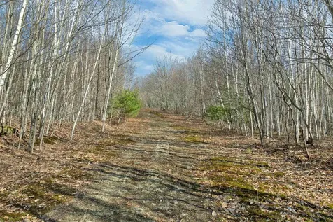 Lot 41 Oakcrest Road Bristol NH 03222