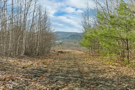 Lot 41 Oakcrest Road Bristol NH 03222