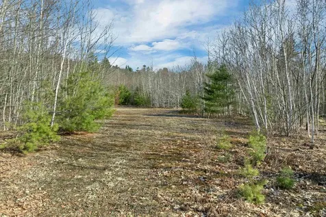 Lot 41 Oakcrest Road Bristol NH 03222