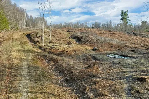 Lot 41 Oakcrest Road Bristol NH 03222