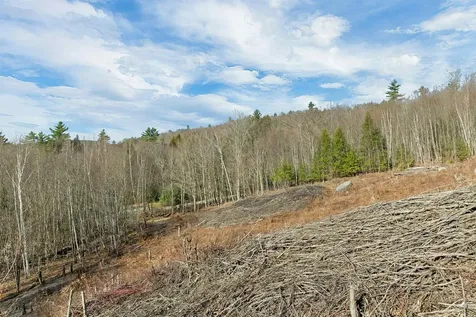 Lot 41 Oakcrest Road Bristol NH 03222