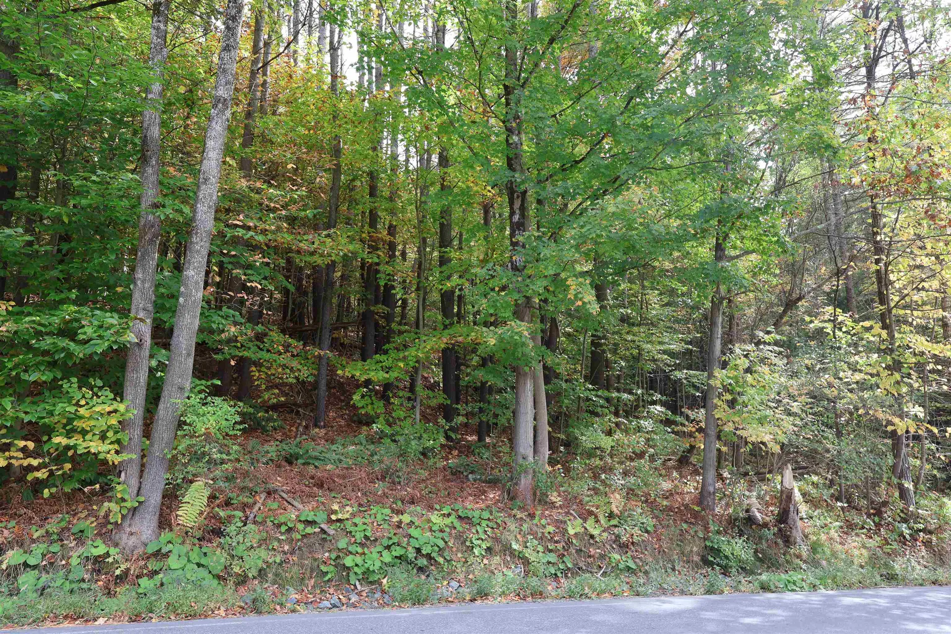 0 Christian Street Hartford VT 05001
