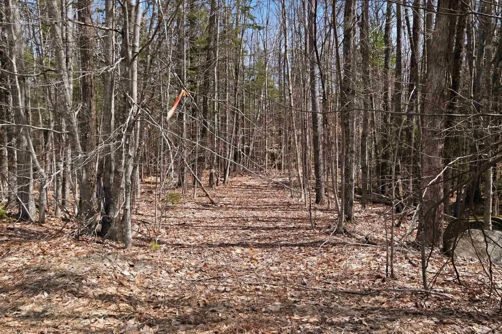0 Puckerbrush Road Campton NH 03223