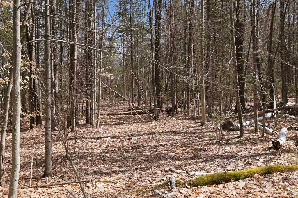 0 Puckerbrush Road Campton NH 03223