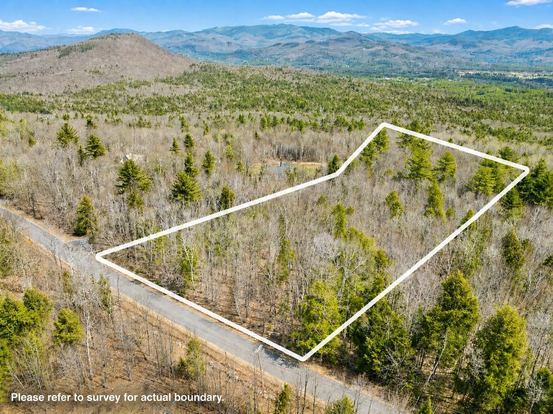 Campton NH, Puckerbrush Road