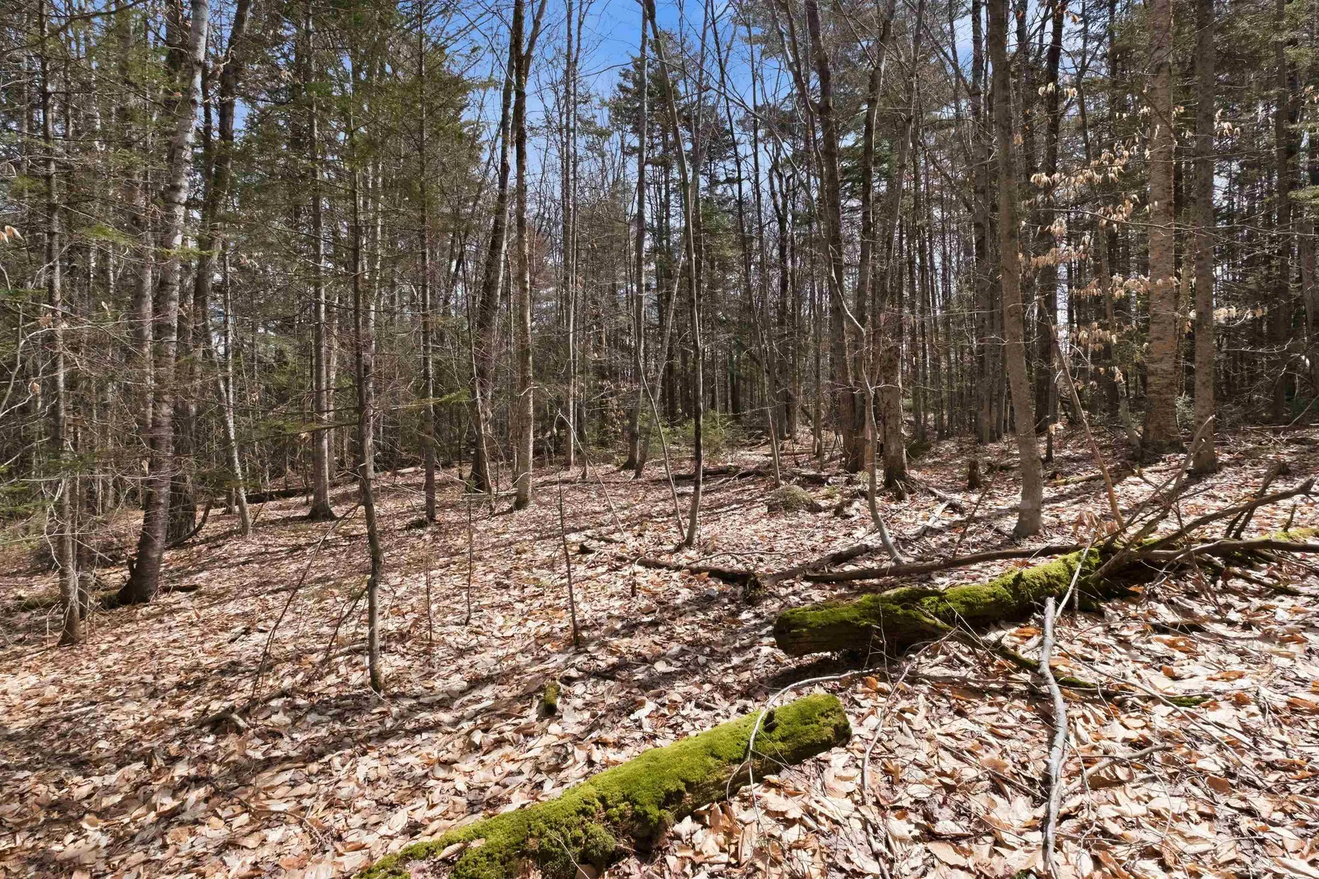 0 Puckerbrush Road Campton NH 03223