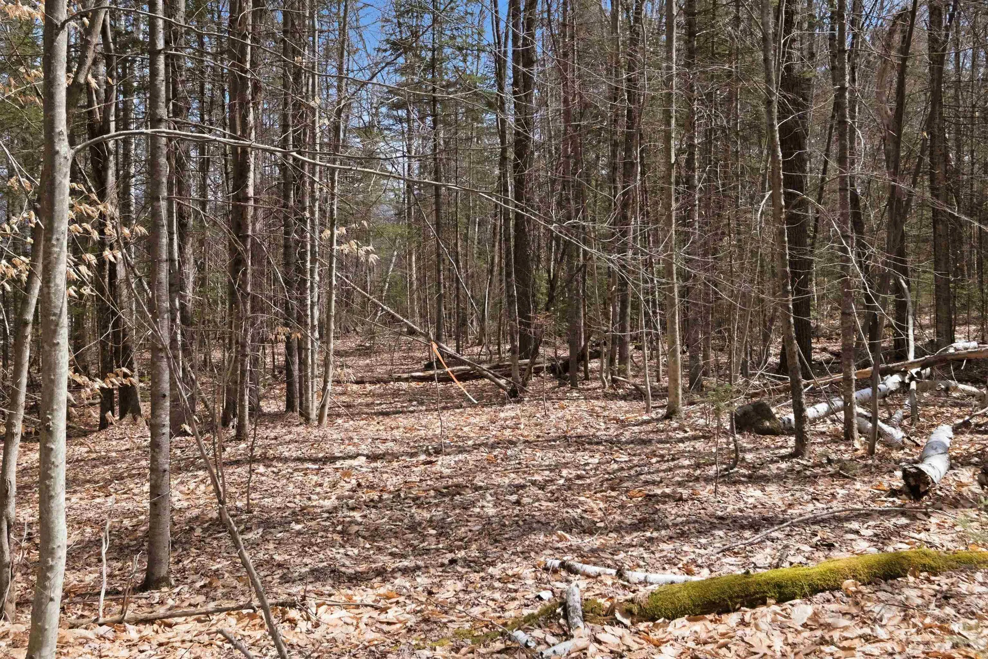 0 Puckerbrush Road Campton NH 03223