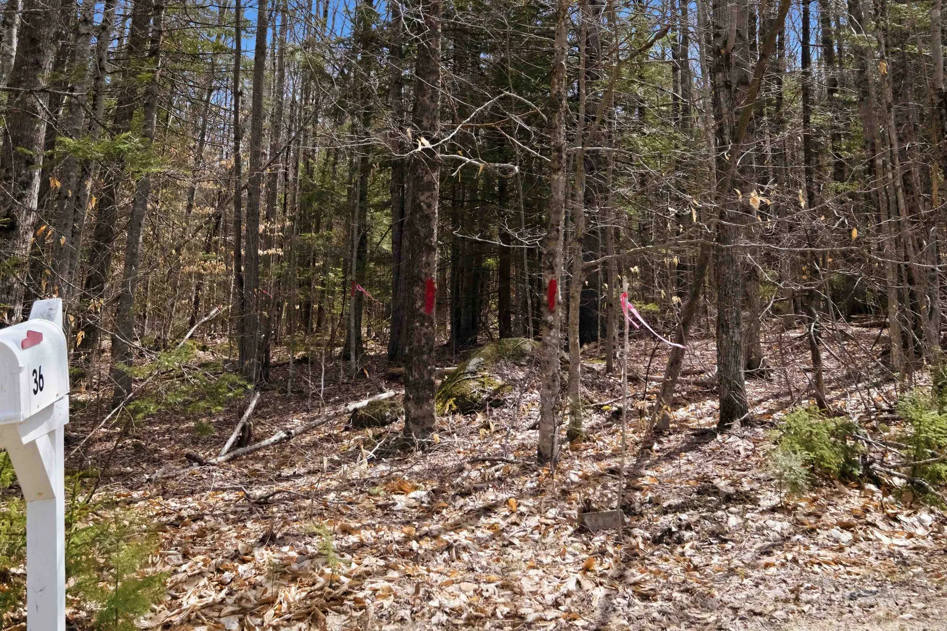 0 Puckerbrush Road Campton NH 03223